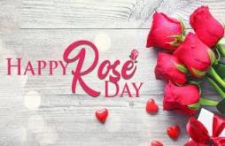 Happy Rose Day 2021