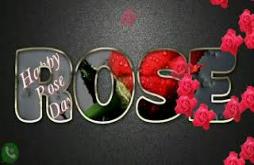 Happy Rose Day Whatsapp Status Video Download