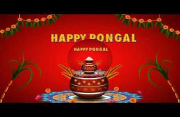 Pongal whatsapp status video
