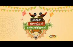 Pongal wishes status video