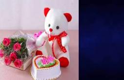 Teddy day WhatsApp status