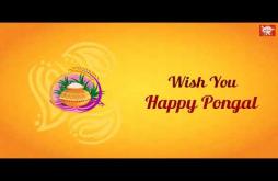 Wish You Happy Pongal Whatsapp Status