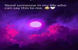 Shayri | sed shayri video status dawonload