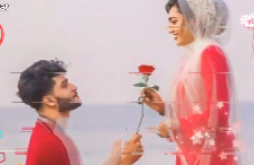 Rose Day | Rose Day  | 7 feb special day video status