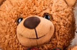 Teddy Day | Teddy Day | Full Hd Video | Whatsapp video status dawonload