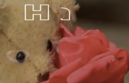 Teddy Day | Teddy Day | Full Hd video | Whatsapp video status