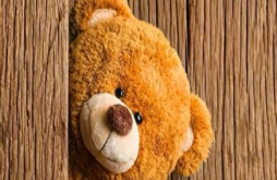 Teddy Day | Teddy Day | Happy Teddy Day whatsapp video status dawonload