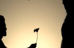 Valentine Day | Valentine Day | Full Hd Video Status | full screen video status dawonload