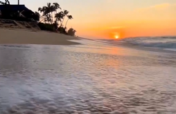 Good Morning new video status dawonload