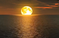 Good Morning new whatsapp video status