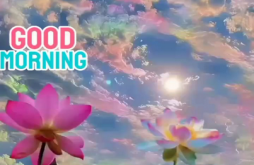 Good Morning new video status dawonload 2023