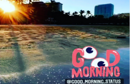 Good Morning new whatsapp video