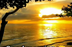 Good morning new video status