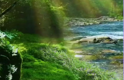 Good morning video status