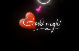 Good Night video status