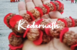 Mahadev video status download 2023