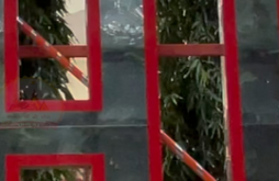 Mogal maa video ststus download 2023